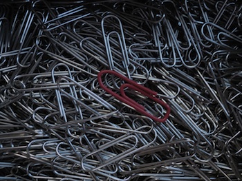 paperclips 325w